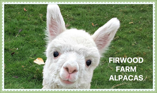 Firwood Farm Alpacas' GIFT CARD